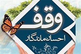 توضیحات سازمان اوقاف از وضعیت املاک وقفی