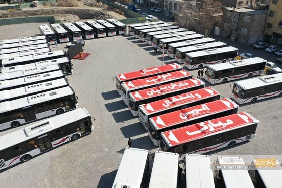 گزارش تصویری 