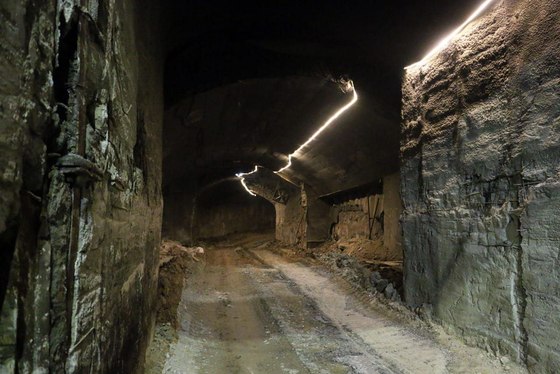 گزارش تصویری 1