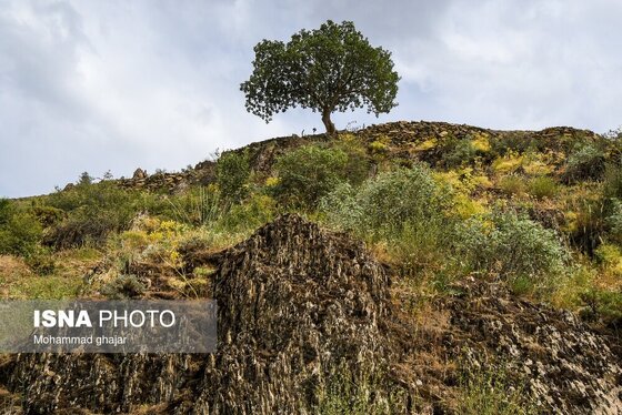 ایران زیباست | روستای دولاب، سنندج