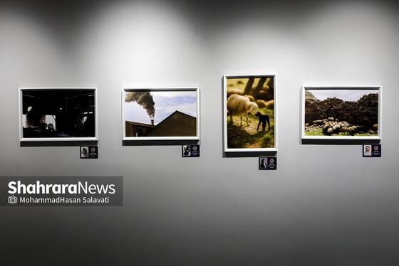 گزارش تصویری | اولین نمایشگاه دوسالانه کانون عکس مشهد