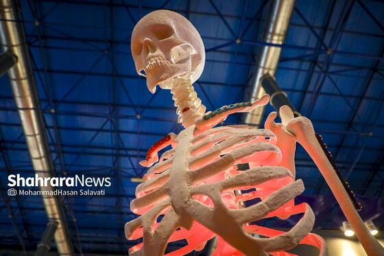 گزارش تصویری | بیست‌وششمین نمایشگاه هفته پژوهش و فناوری خراسان رضوی