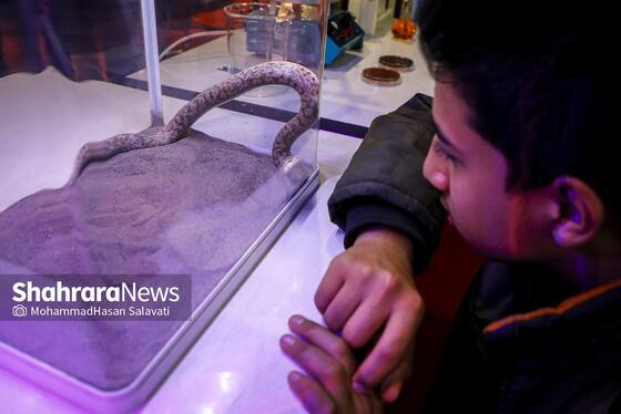 گزارش تصویری | بیست‌وششمین نمایشگاه هفته پژوهش و فناوری خراسان رضوی