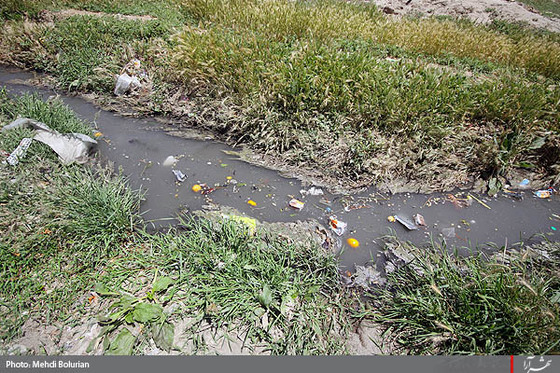 آبياري مزارع با فاضلاب در مشهد -1