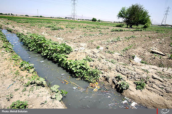 آبياري مزارع با فاضلاب در مشهد -1