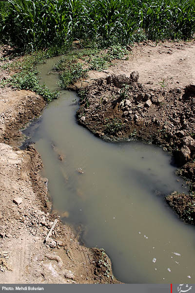 آبياري مزارع با فاضلاب در مشهد -1
