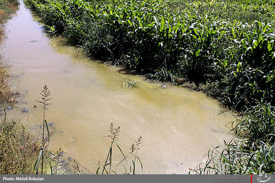 آبياري مزارع با فاضلاب در مشهد -1
