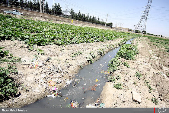 آبياري مزارع با فاضلاب در مشهد -1