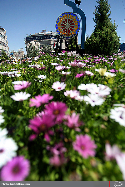 شــــهر در انتظار منجــــي