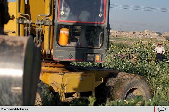 آغاز معدوم سازي سبريجات آلوده حاشيه كشف رود