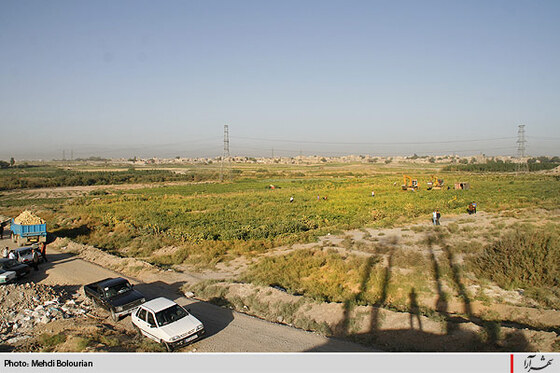 آغاز معدوم سازي سبريجات آلوده حاشيه كشف رود