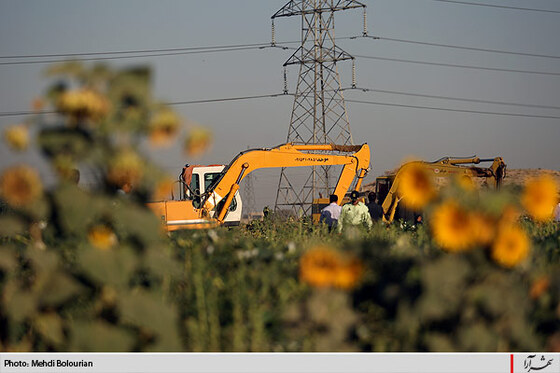 آغاز معدوم سازي سبريجات آلوده حاشيه كشف رود