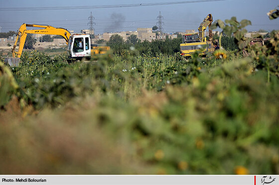 آغاز معدوم سازي سبريجات آلوده حاشيه كشف رود