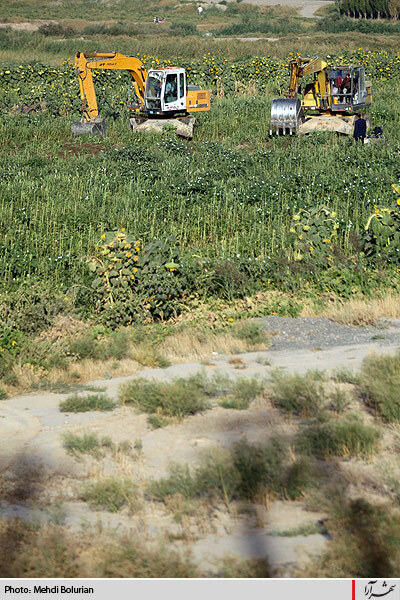 آغاز معدوم سازي سبريجات آلوده حاشيه كشف رود