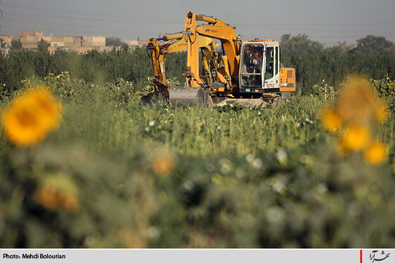 آغاز معدوم سازي سبريجات آلوده حاشيه كشف رود