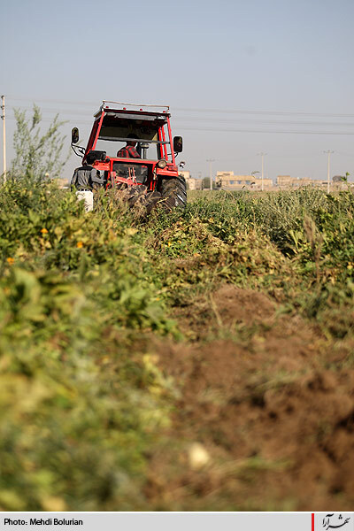 آغاز معدوم سازي سبريجات آلوده حاشيه كشف رود