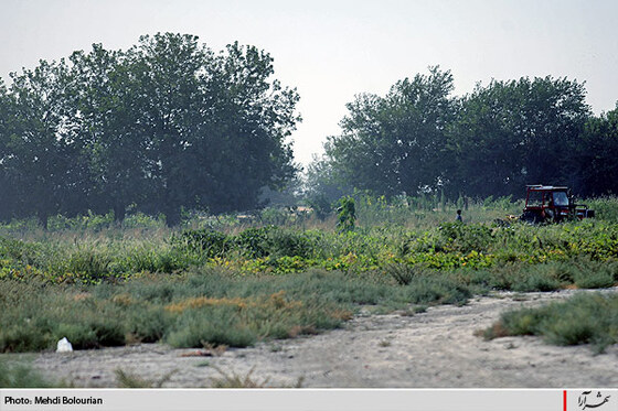 آغاز معدوم سازي سبريجات آلوده حاشيه كشف رود