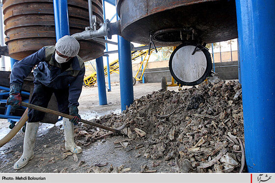 كارخانه توليد ژلاتين از استخوان