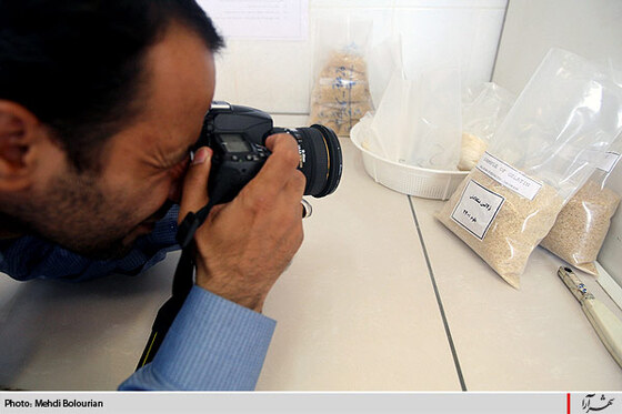 كارخانه توليد ژلاتين از استخوان