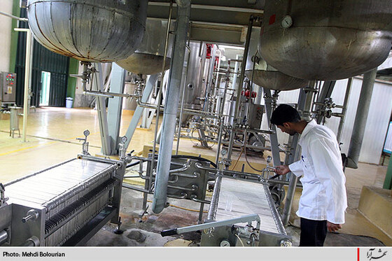 كارخانه توليد ژلاتين از استخوان