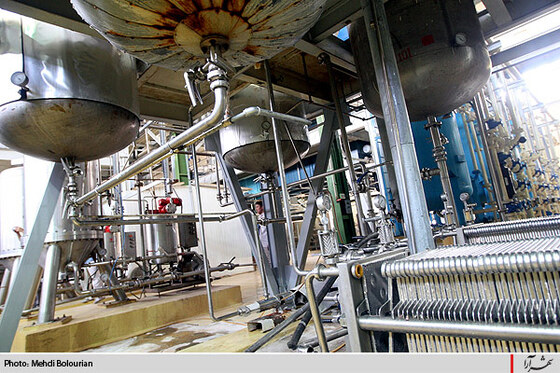 كارخانه توليد ژلاتين از استخوان