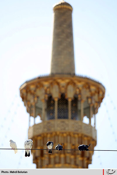 آستان مقدس  امام رضا(ع) - 1