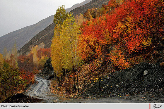پاييز زیبایی ها ...