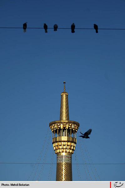 مراسم دعاي عرفه در حرم امام رضا (ع)