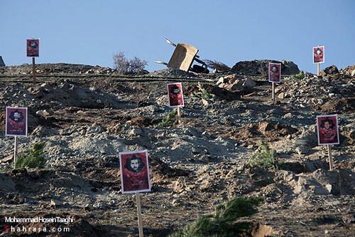 كاشت نهال به ياد شهدا