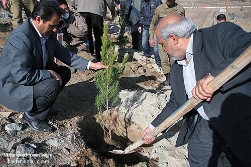 كاشت نهال به ياد شهدا