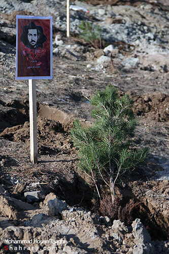 كاشت نهال به ياد شهدا