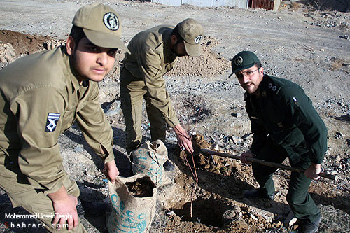 كاشت نهال به ياد شهدا