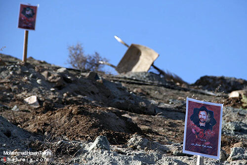 كاشت نهال به ياد شهدا