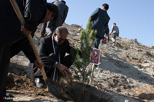كاشت نهال به ياد شهدا
