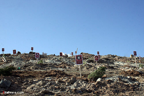 كاشت نهال به ياد شهدا