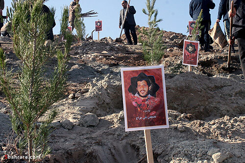 كاشت نهال به ياد شهدا