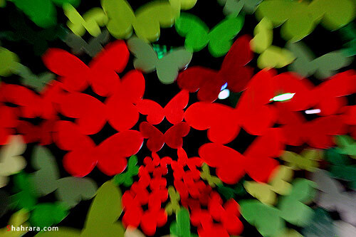 مشهد- خيابان بهار- پلاك 1390