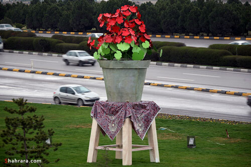 مشهد- خيابان بهار- پلاك 1390