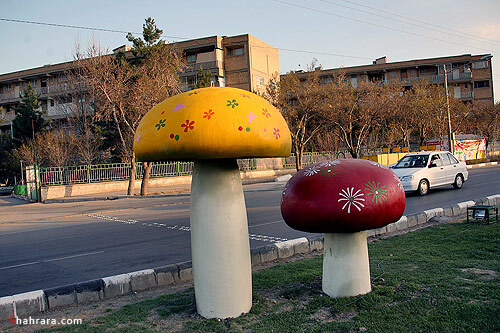 مشهد- خيابان بهار- پلاك 1390