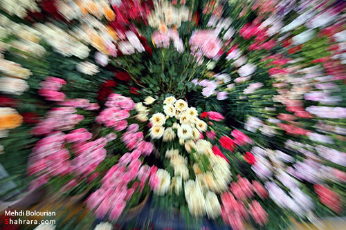 نمایشگاه گل و گیاه مشهد