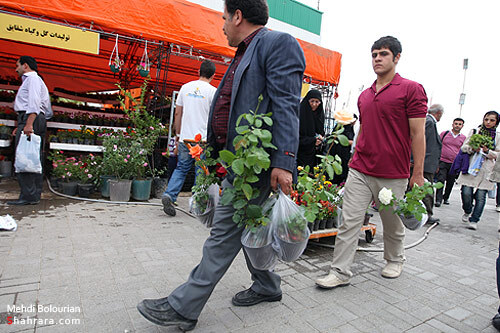 نمایشگاه گل و گیاه مشهد