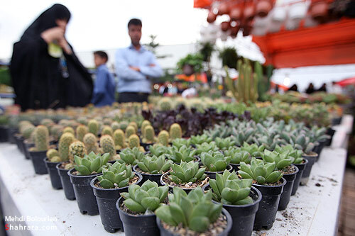 نمایشگاه گل و گیاه مشهد
