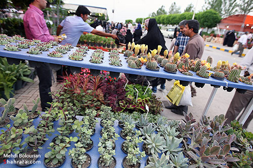 نمایشگاه گل و گیاه مشهد