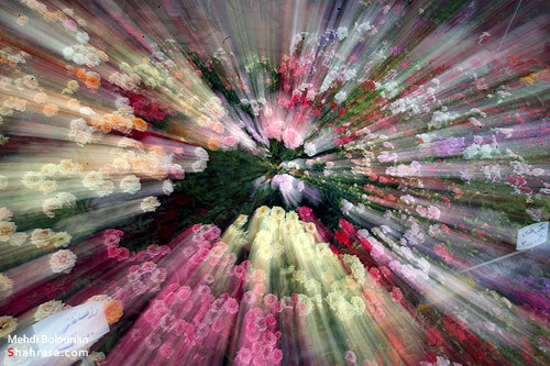 نمایشگاه گل و گیاه مشهد