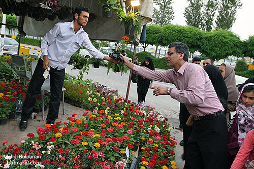 نمایشگاه گل و گیاه مشهد