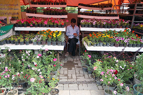 نمایشگاه گل و گیاه مشهد