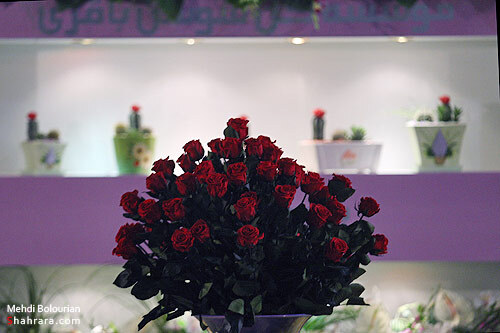نمایشگاه گل و گیاه مشهد