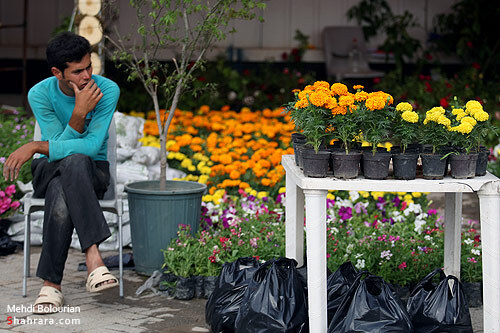 نمایشگاه گل و گیاه مشهد