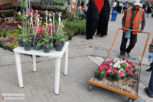 نمایشگاه گل و گیاه مشهد
