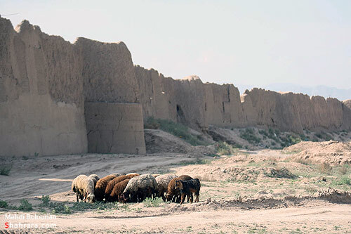 وضعيت نامناسب اطراف شهر تاريخي توس